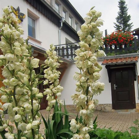 Ferienhaus Haus Am Wald Stolberg  Экстерьер фото