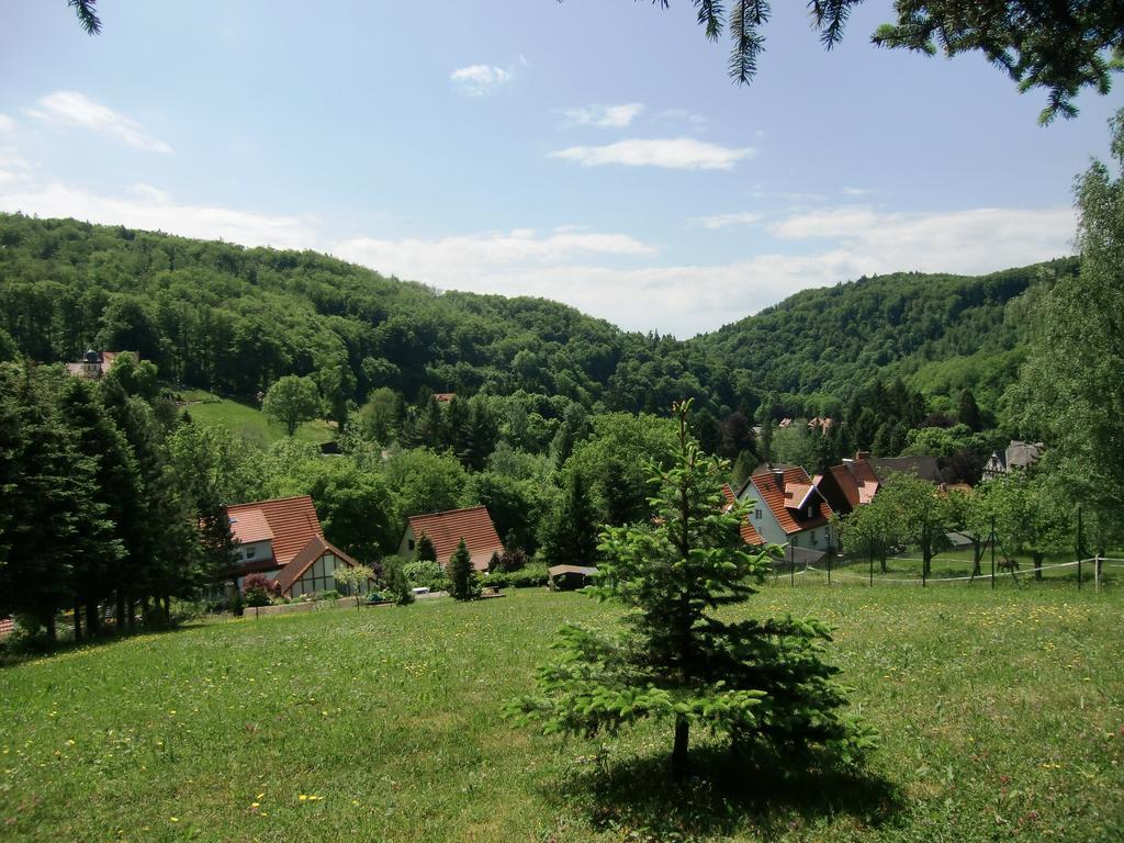 Ferienhaus Haus Am Wald Stolberg  Экстерьер фото