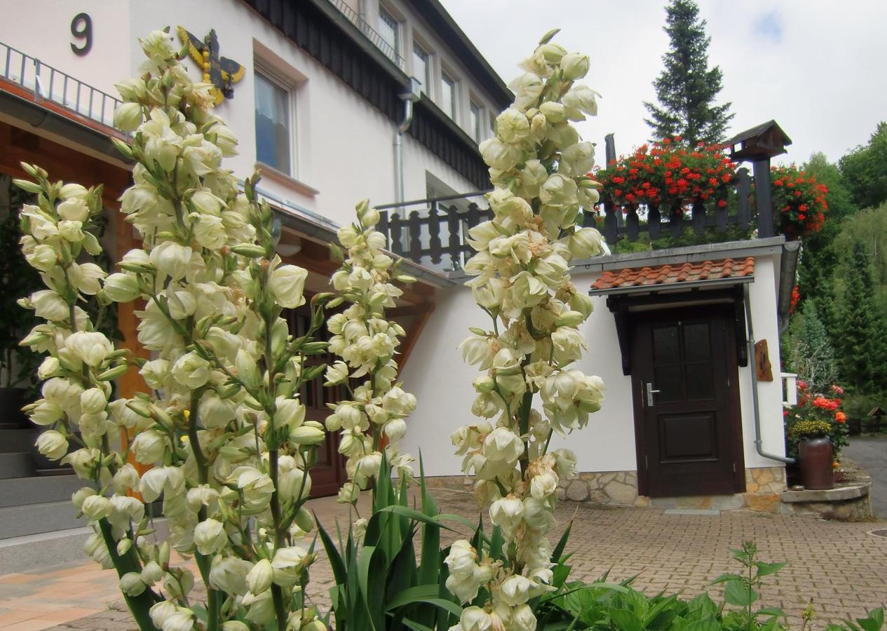Ferienhaus Haus Am Wald Stolberg  Экстерьер фото