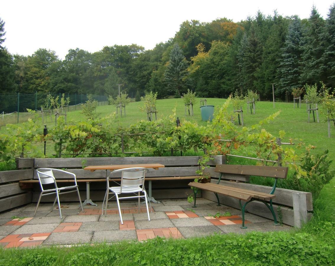 Ferienhaus Haus Am Wald Stolberg  Экстерьер фото
