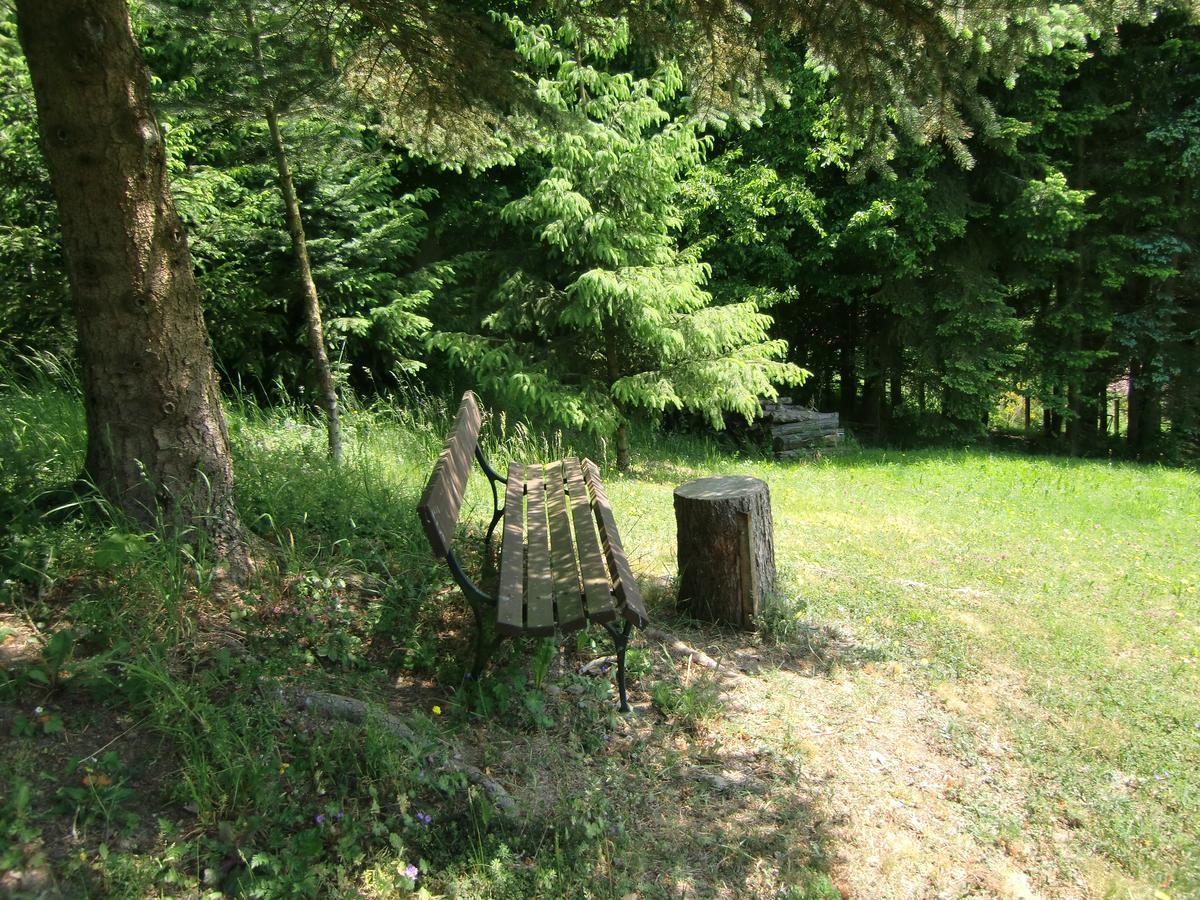 Ferienhaus Haus Am Wald Stolberg  Экстерьер фото